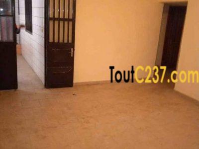 Appartement à louer à Kotto, Douala