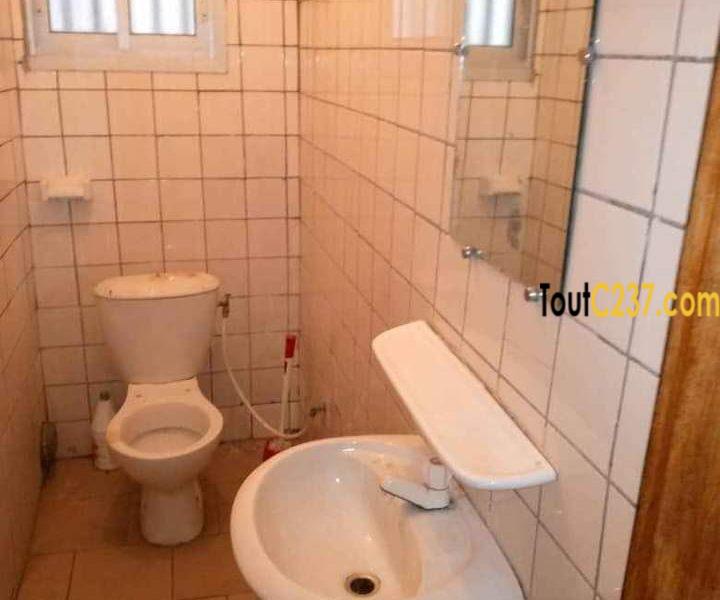Appartement à louer à Kotto, Douala