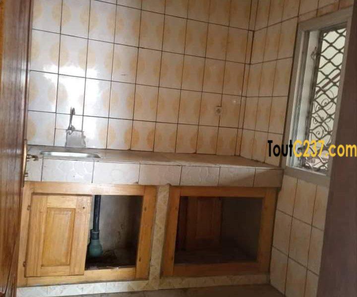 Appartement à louer à kotto, Douala
