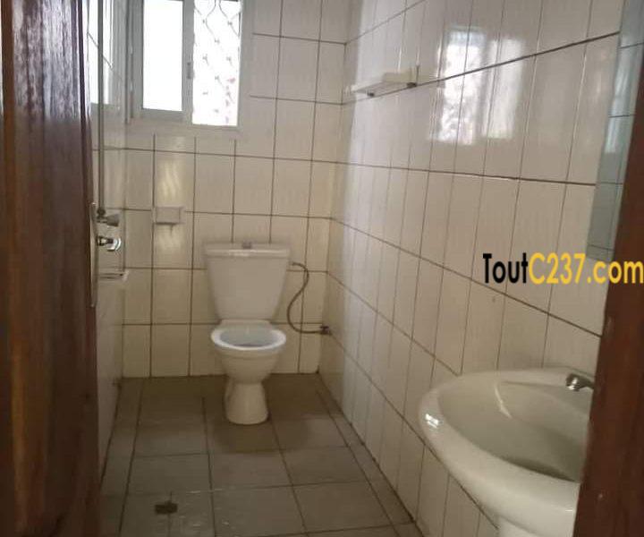Appartement à louer à kotto, Douala