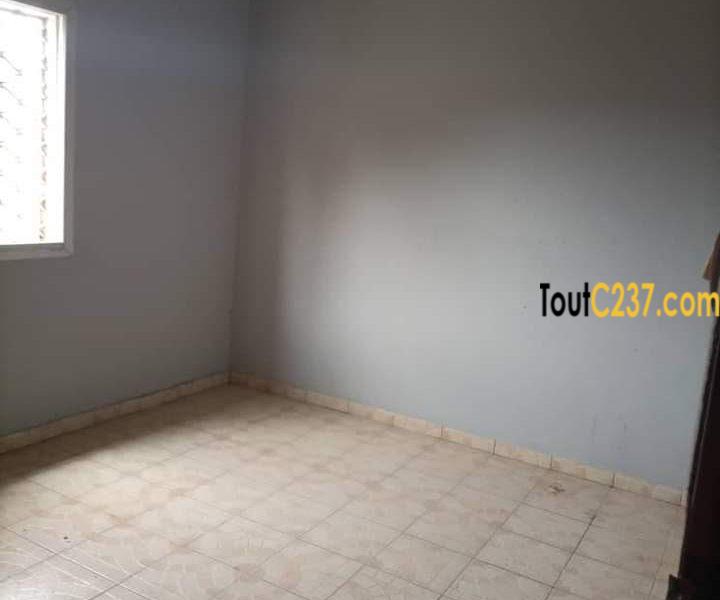 Appartement à louer à kotto, Douala