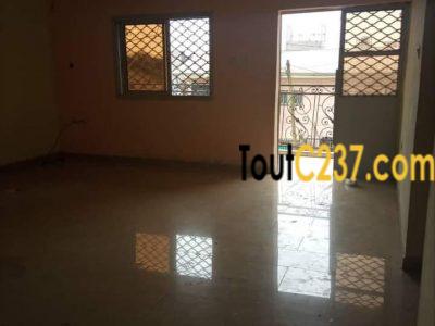 Appartement à louer à kotto, Douala