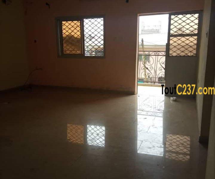 Appartement à louer à kotto, Douala