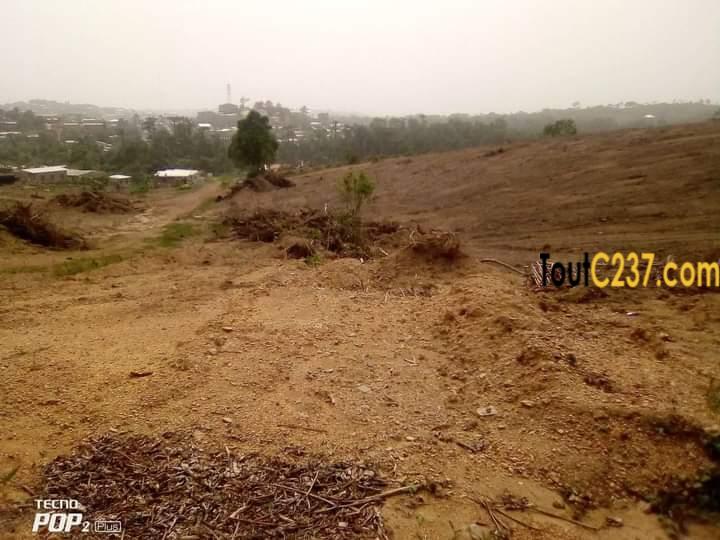 Terrain à vendre à pk17, Douala