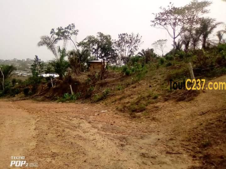 Terrain à vendre à pk17, Douala