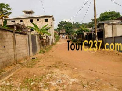 Terrain à vendre à Japoma, Douala