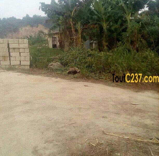 Terrain à vendre à Japoma Beach, Douala