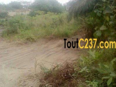 Terrain à vendre à Japoma Beach, Douala