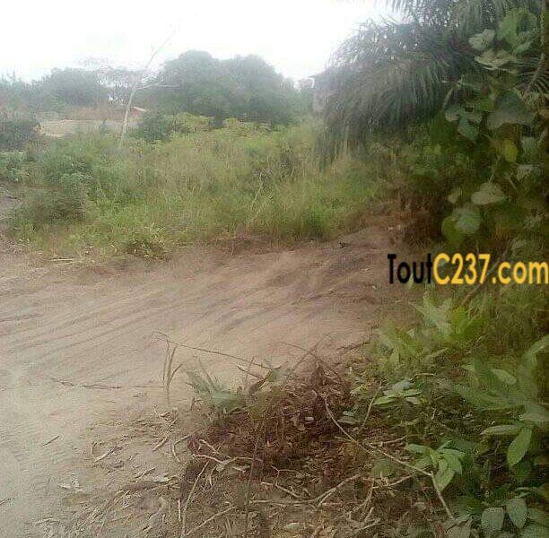 Terrain à vendre à Japoma Beach, Douala