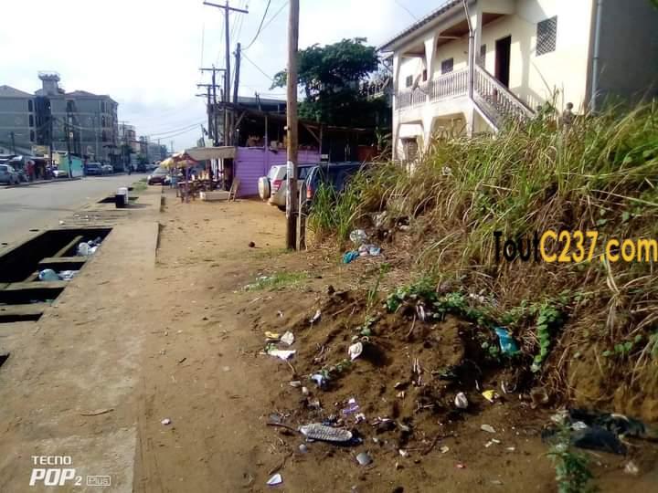 Urgente: Terrain commercial à vendre à Ndog-bong, Douala