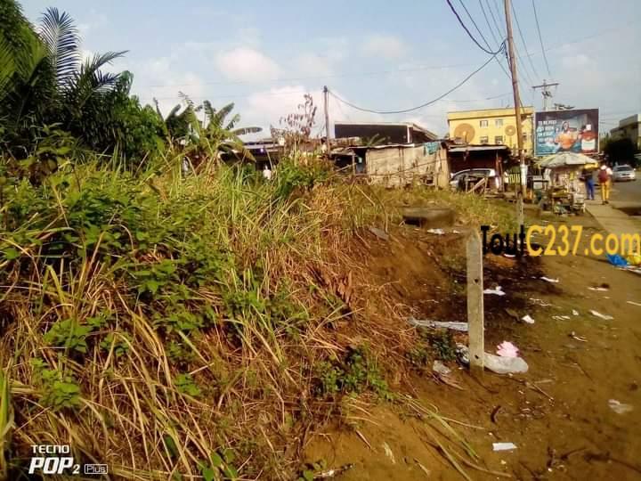 Urgente: Terrain commercial à vendre à Ndog-bong, Douala