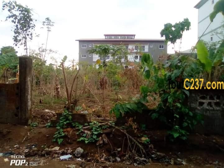 Urgence: Terrain à vendre à Logbessou, Douala