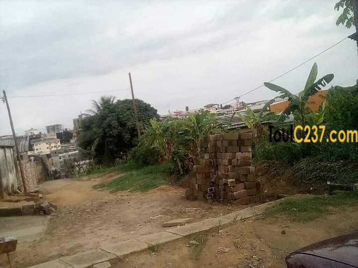 Terrain à vendre à beedi, Douala