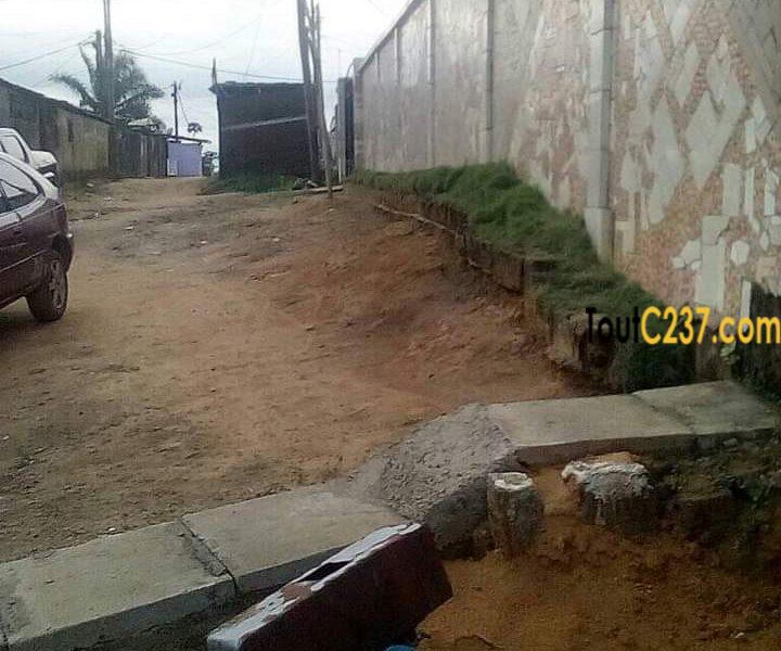 Terrain à vendre à beedi, Douala