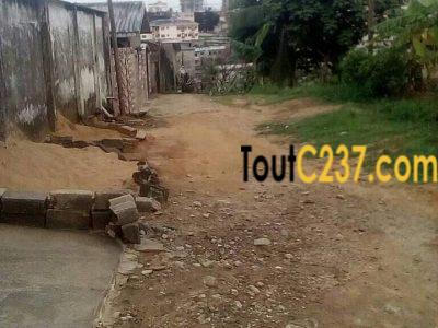 Terrain à vendre à beedi, Douala