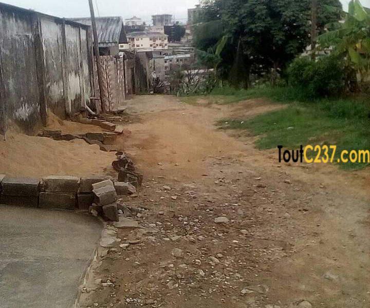 Terrain à vendre à beedi, Douala