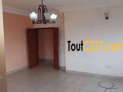 Appartement à louer à Bonamoussadi , Douala
