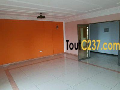 Appartement VIP à louer à Akwa, Douala