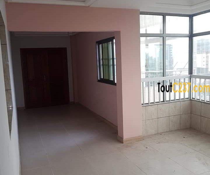 Appartement VIP à louer à Akwa, Douala