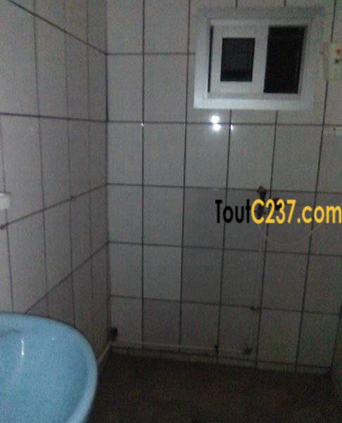 Villa à louer à kotto bangue, Douala