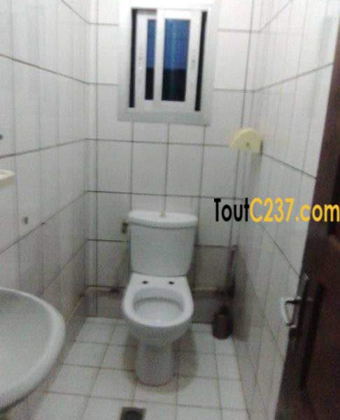 Villa à louer à kotto bangue, Douala