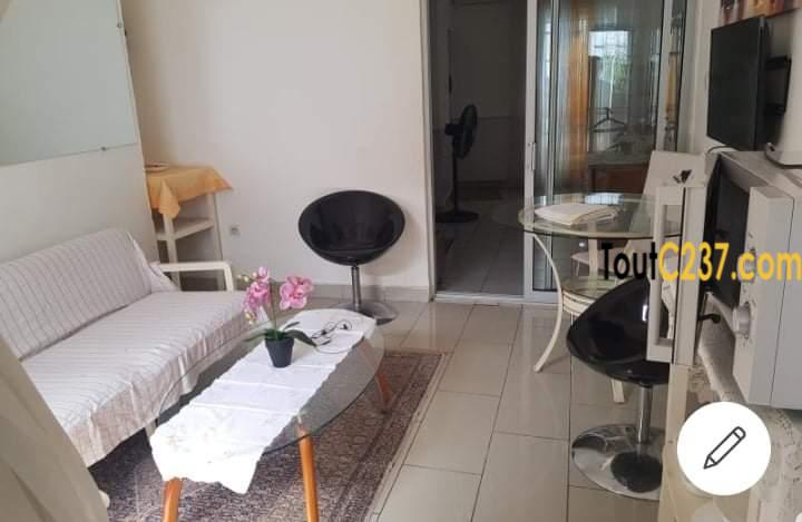 Studio Meublé à louer à Bonapriso, Douala