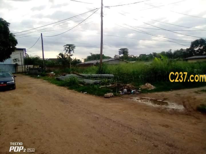 Terrains à vendre à Ndog-Bong Douala