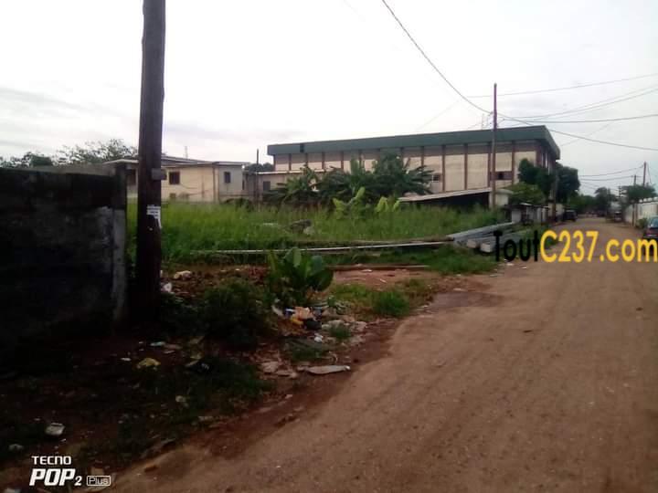 Terrains à vendre à Ndog-Bong Douala