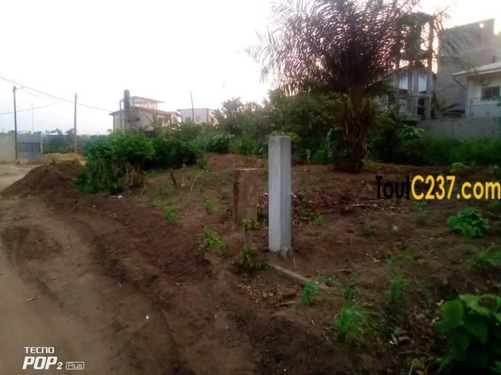 Terrain d'angle à vendre à Lendi, Douala