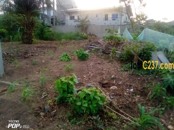 Terrain d'angle à vendre à Lendi, Douala