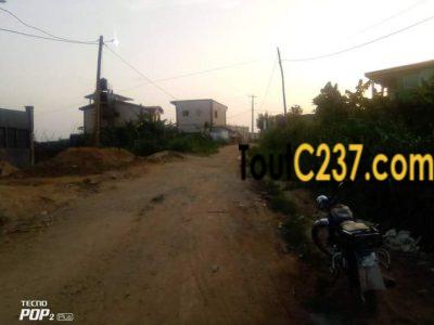 Terrain d'angle à vendre à Lendi, Douala