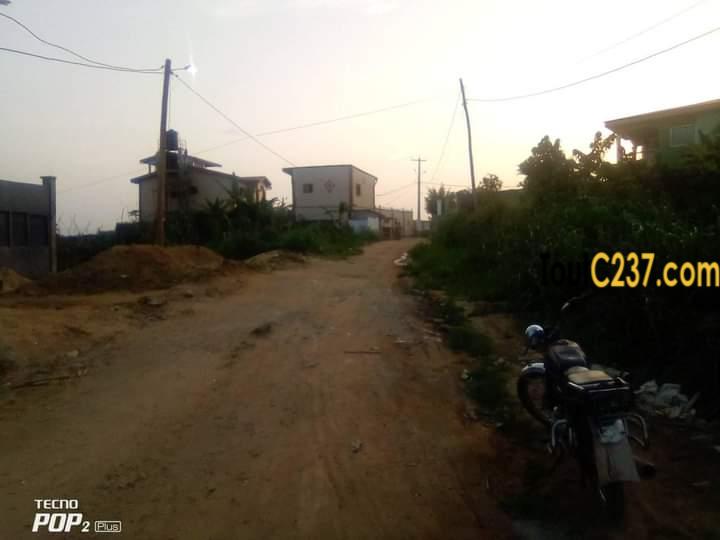 Terrain d'angle à vendre à Lendi, Douala