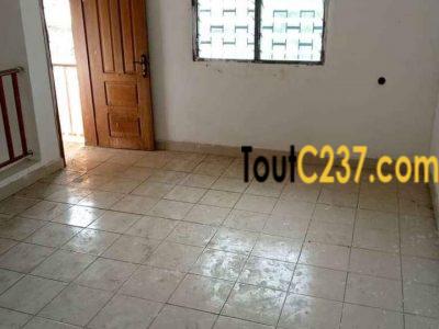 Studio en duplex à louer à Akwa, Douala