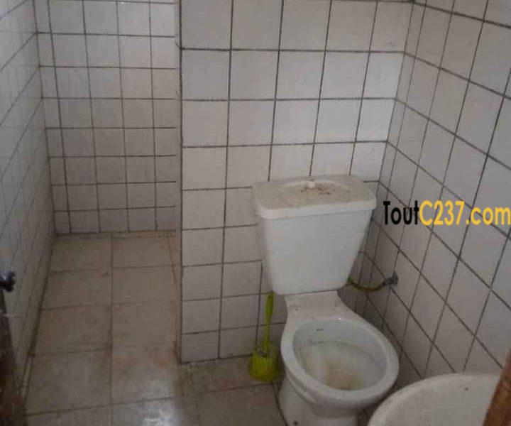 Studio en duplex à louer à Akwa, Douala