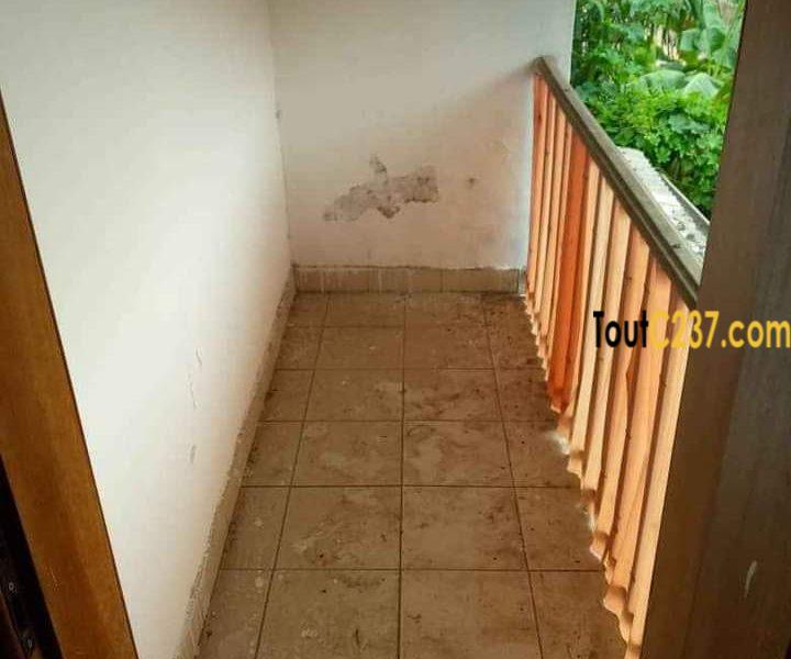 Studio en duplex à louer à Akwa, Douala