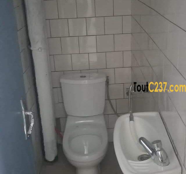 Appartement à louer à Bonapriso, Douala