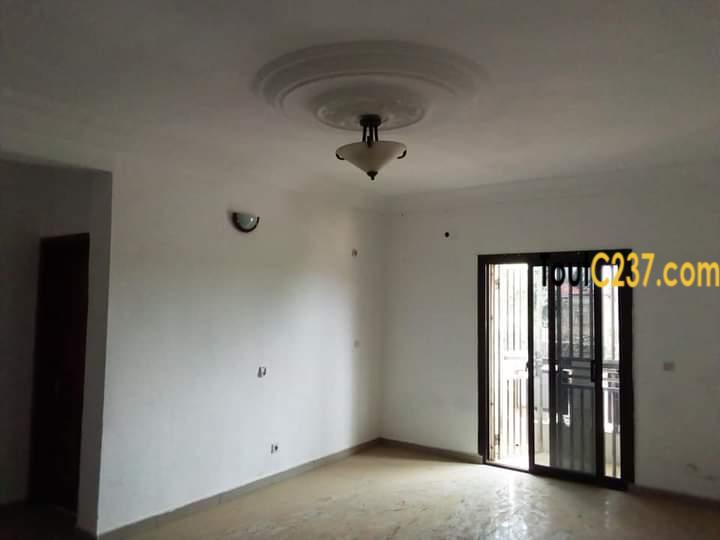 Appartement à louer à Kotto Residence, Douala