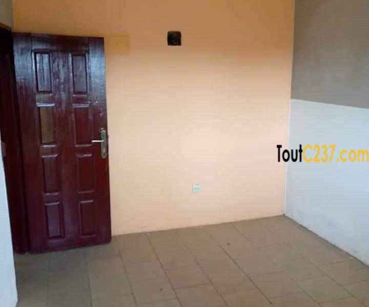 Appartement à louer à Bonamoussadi, Douala