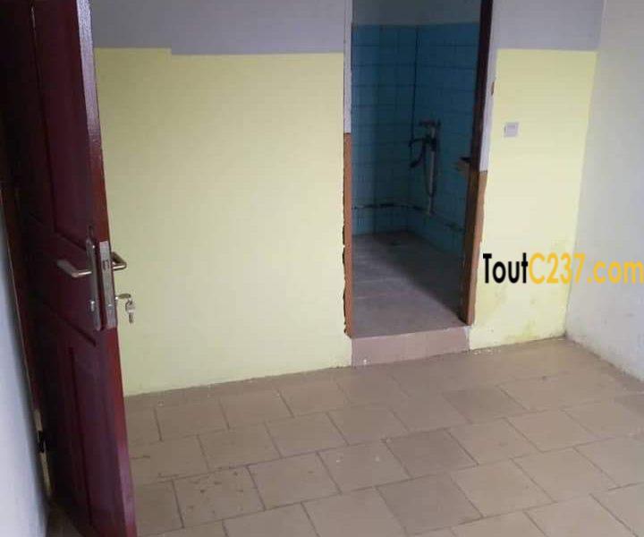 Appartement à louer à Bonamoussadi, Douala