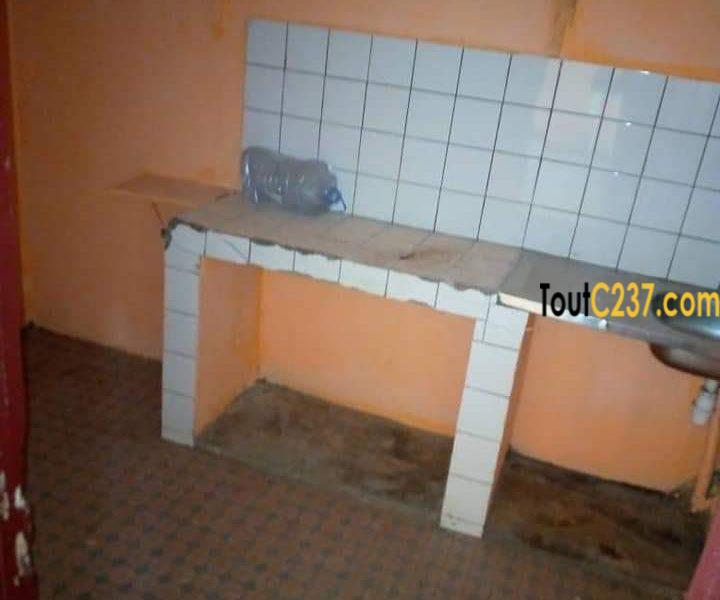 Appartement à louer à Bonamoussadi, Douala