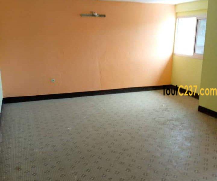 Appartement à louer à Bonamoussadi, Douala