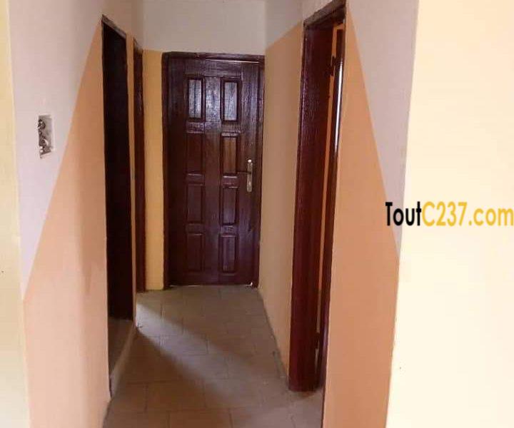 Appartement à louer à Bonamoussadi, Douala