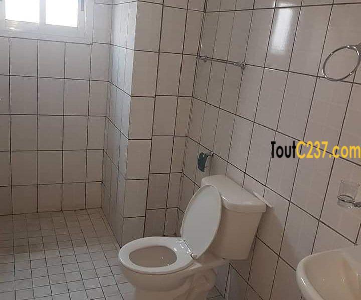 Appartement à louer à Kotto, Douala