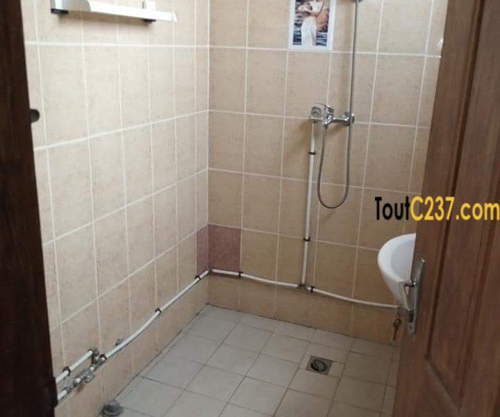 Appartement à louer à Bonamoussadi , Douala