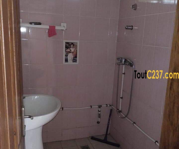 Appartement à louer à Bonamoussadi , Douala