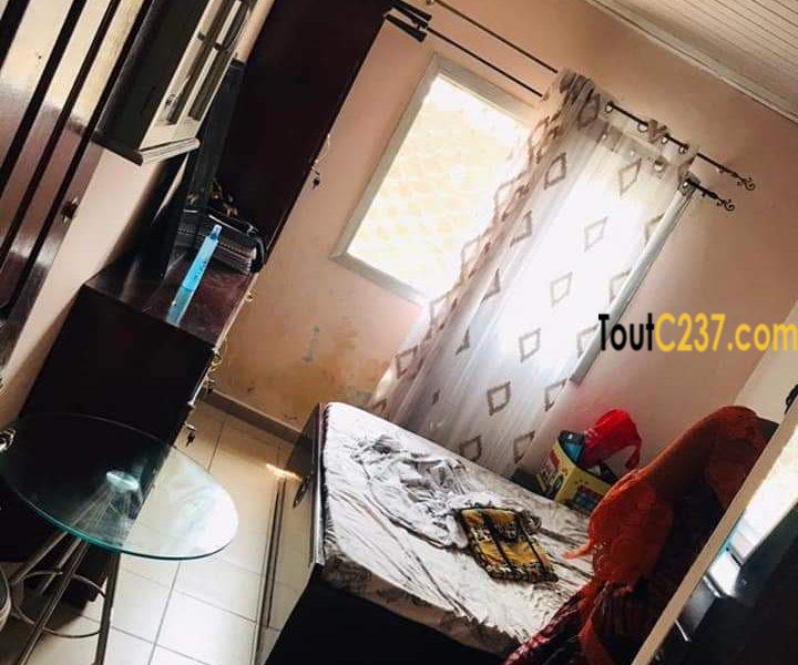 Villa à louer à kotto, Douala