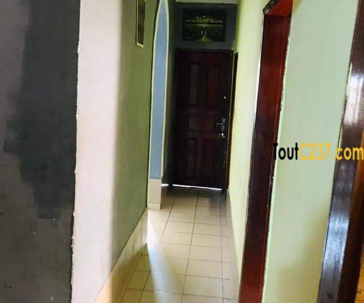 Villa à louer à kotto, Douala