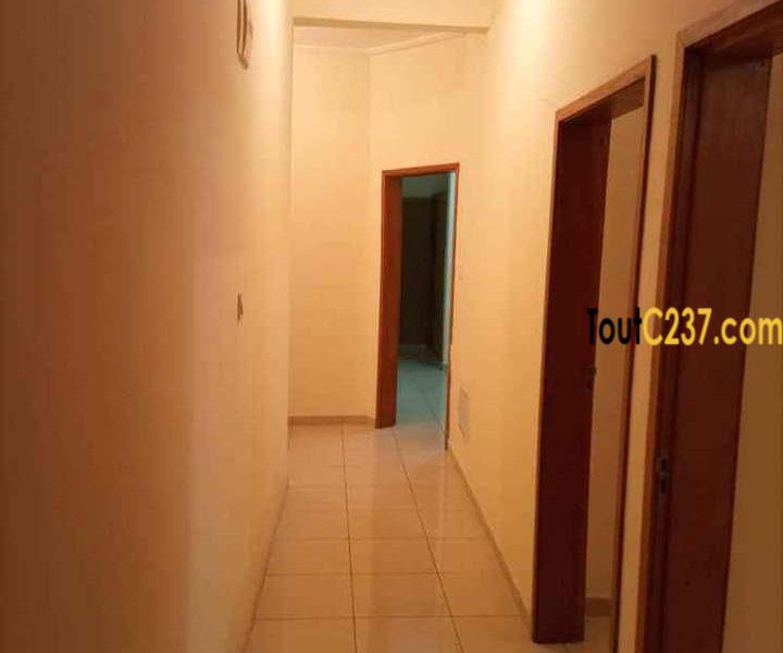 Appartement haut standing à louer à Logpom, Douala