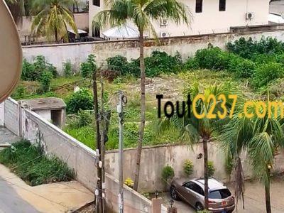 Urgence: Terrain à vendre à Bonapriso, Douala