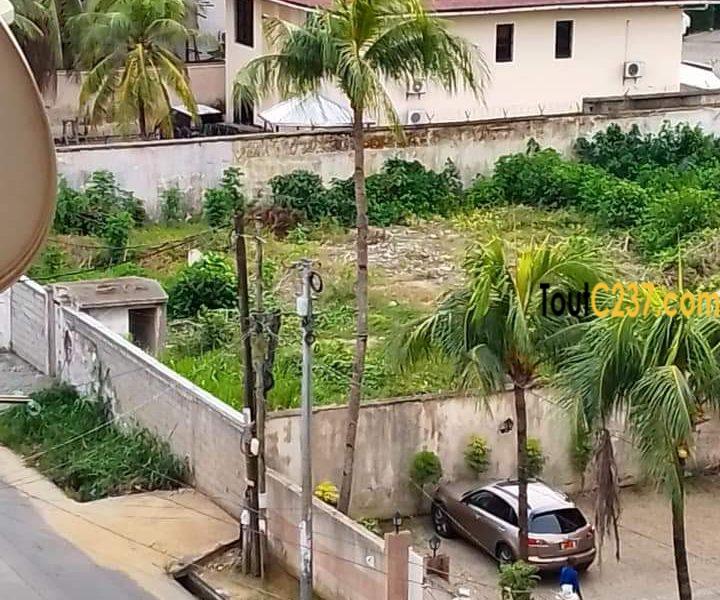 Urgence: Terrain à vendre à Bonapriso, Douala